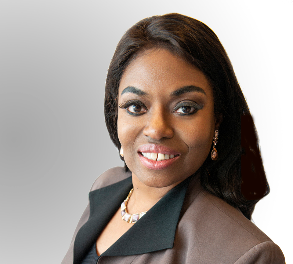 Barnes Infotech Lead Strategist